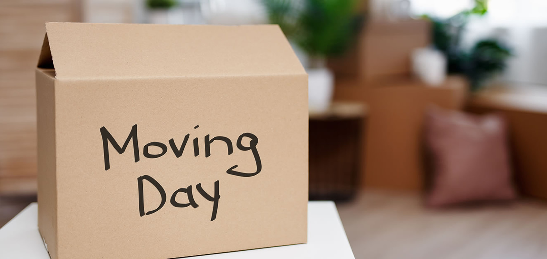 title_69e09af6f04117122861661776327414